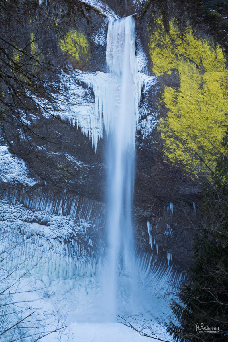 31507625884_5795b34e2c_o