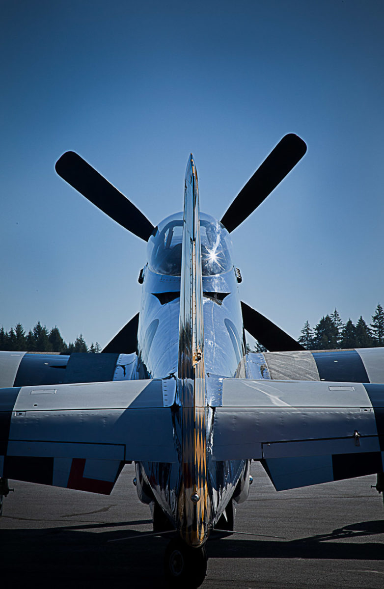 P 51 Tail
