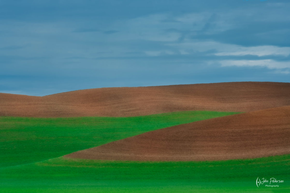 Wheat Field Abstract