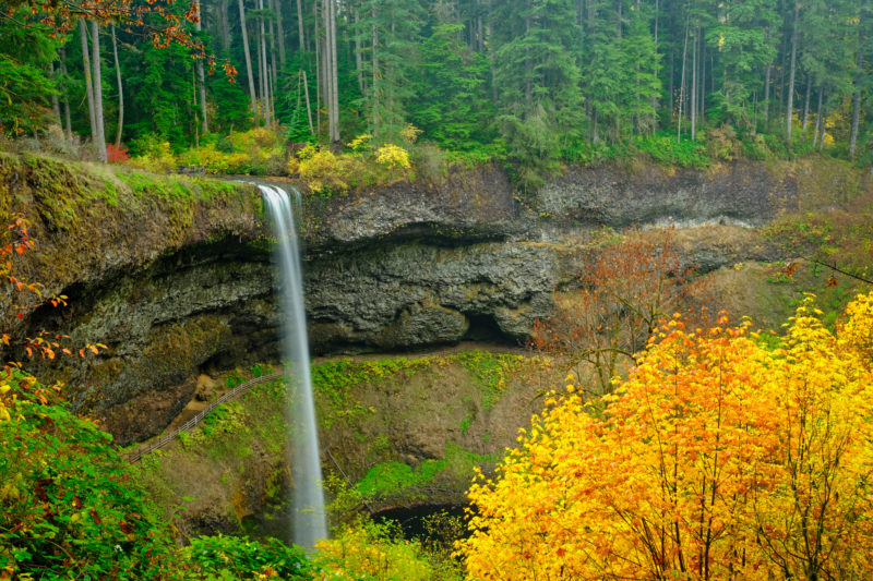 Fall Colors in Silver Falls State Park - John Pedersen Photography