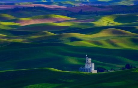 rolling green hills of The Palouse