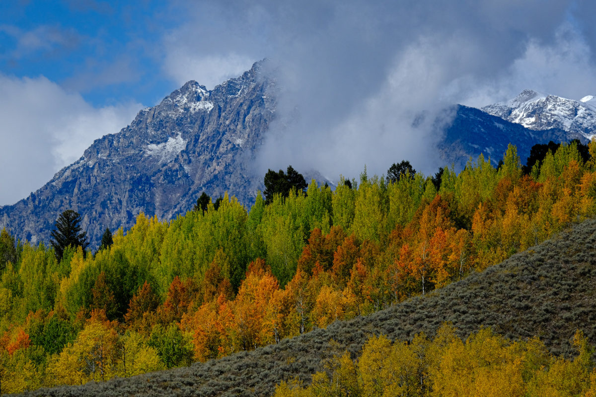 mountain in background with fall colors trees