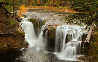 fall color on stream with small waterfall. olympic national park, washington