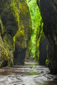 tall moss covered rock canyon above stream columbia river gorge