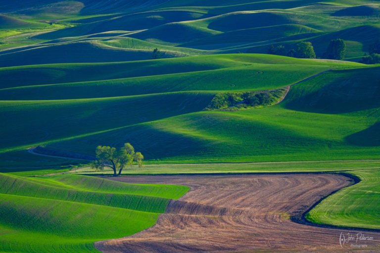 Palouse Spring Workshop - John Pedersen Photography