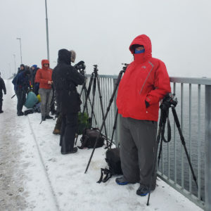Photographers on bridge in Hemnoy Norway