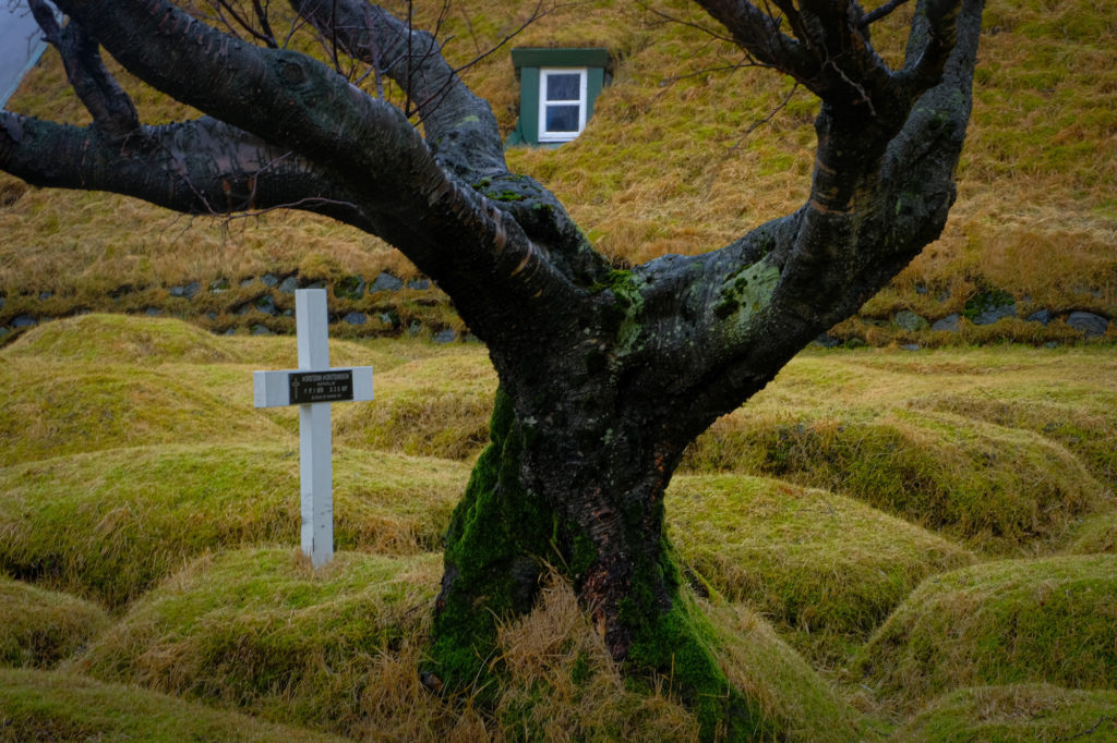 Grass roofed church in Hof Iceland