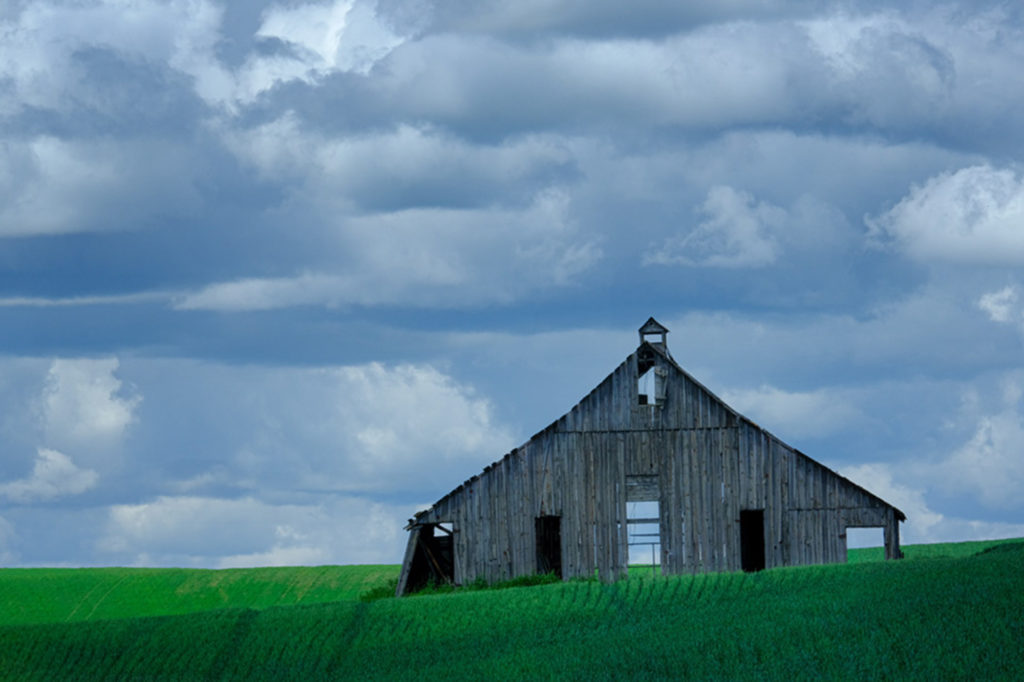 barn, field, farm, washington, palouse, clouds, rain clouds, wheat