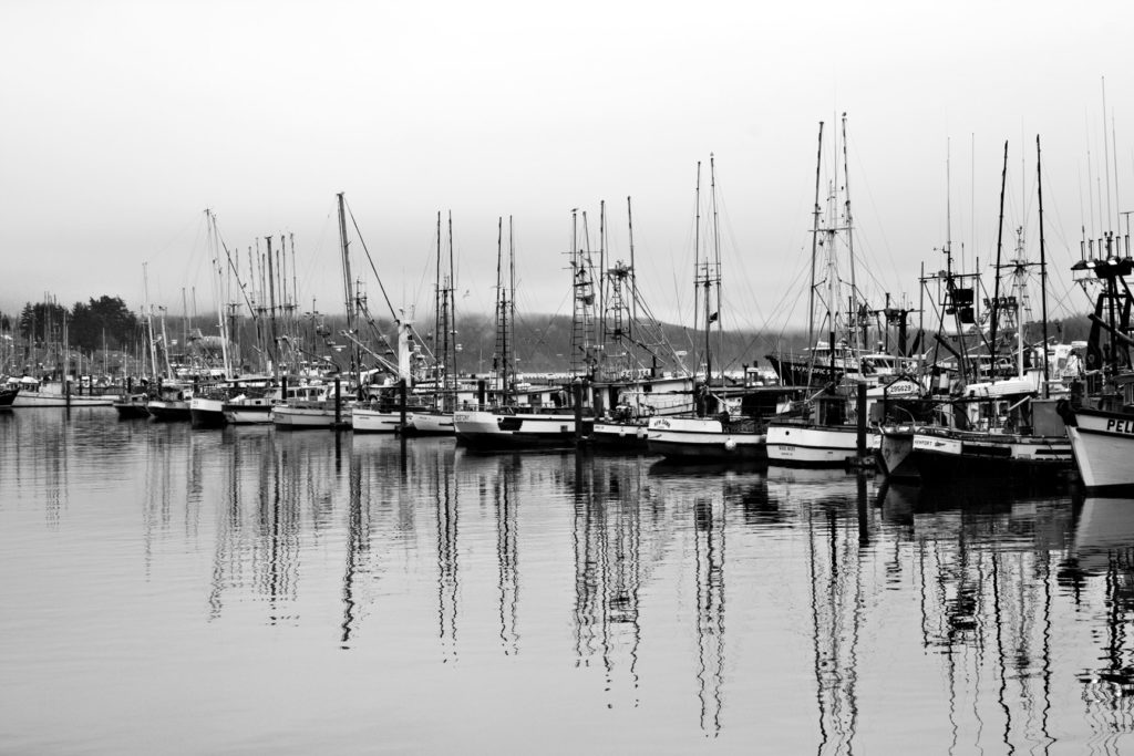 fishing boats in newport oregon