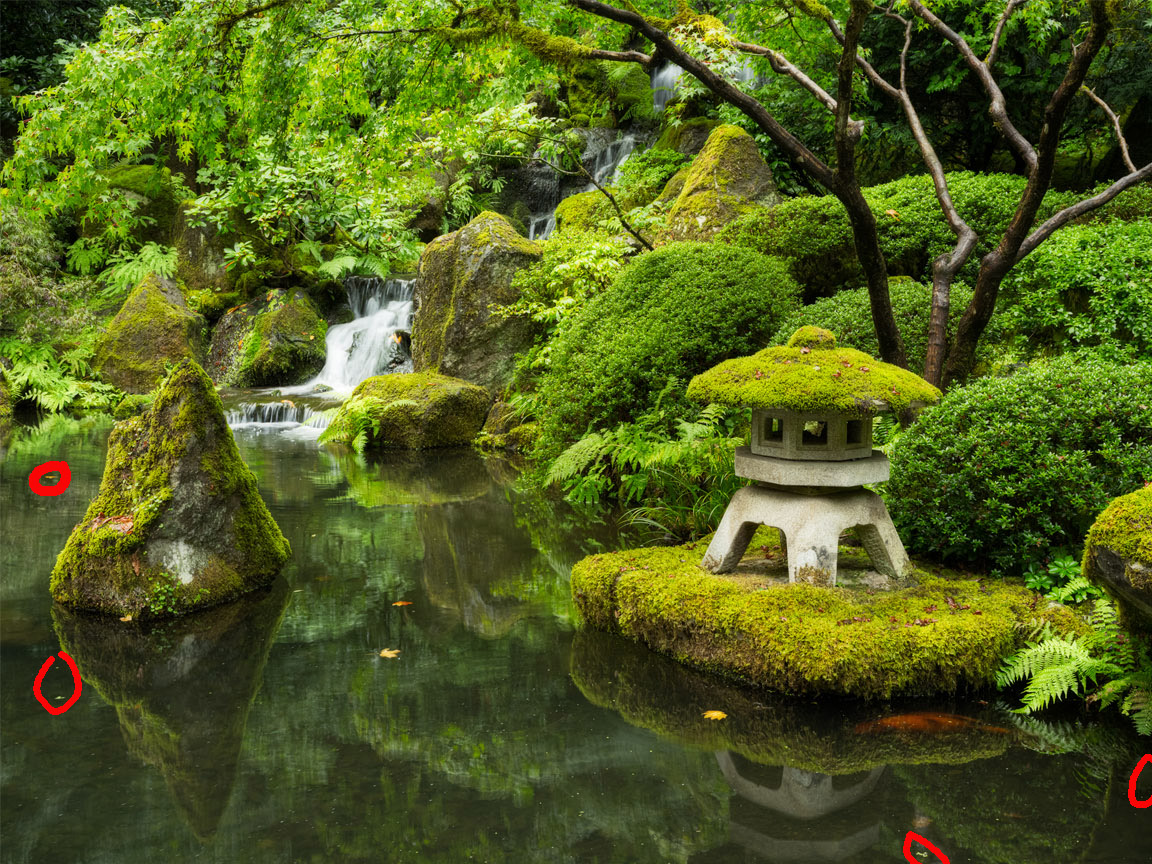 water, japanese garden, tree, waterfall