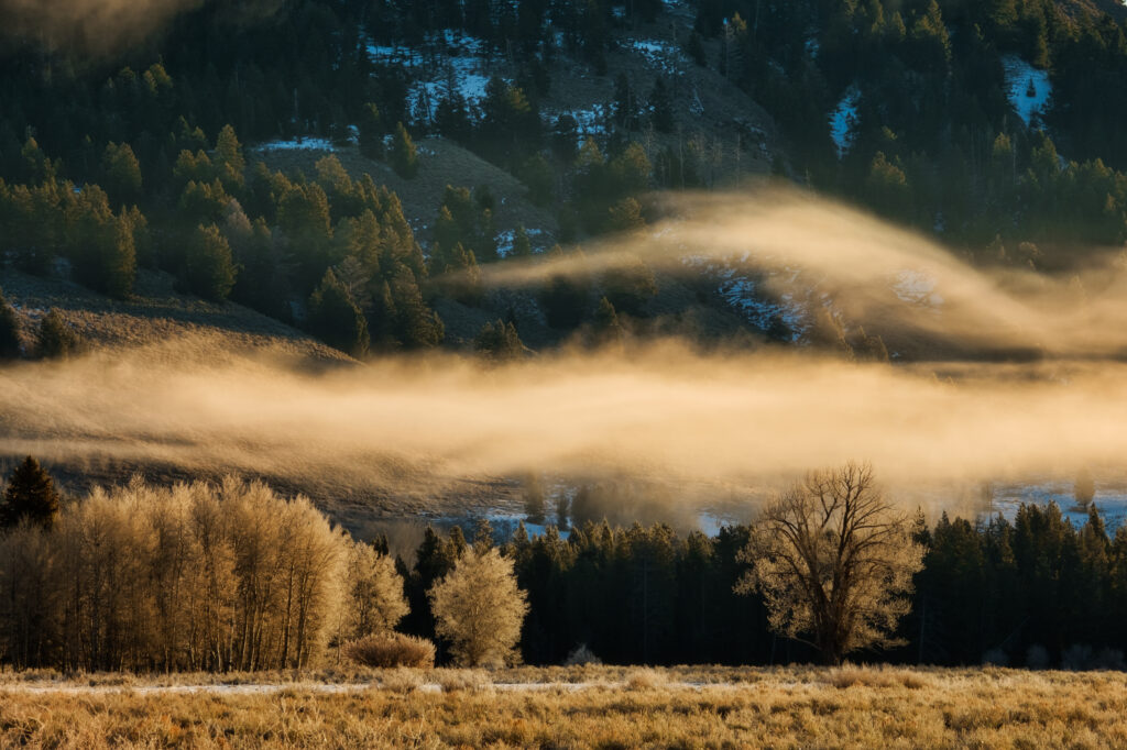 Fog layers during winter with golden sunlight