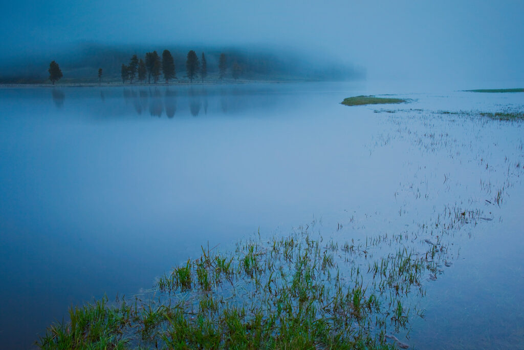 Fog over water in Hayden Meadows. Yellowstone National Park