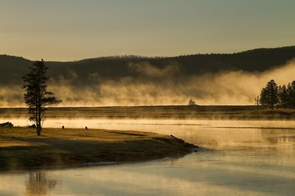 Fog and steam rising off the water in Yellowstone National Park