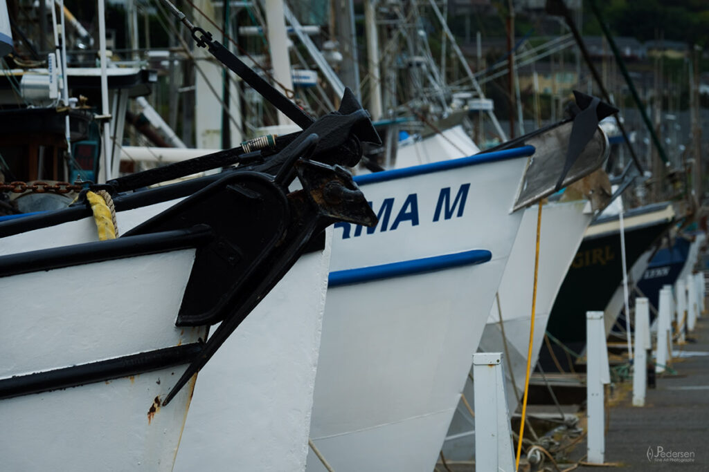 Line up of fishing boat bows