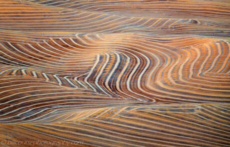 Palouse wheat fields during harvest