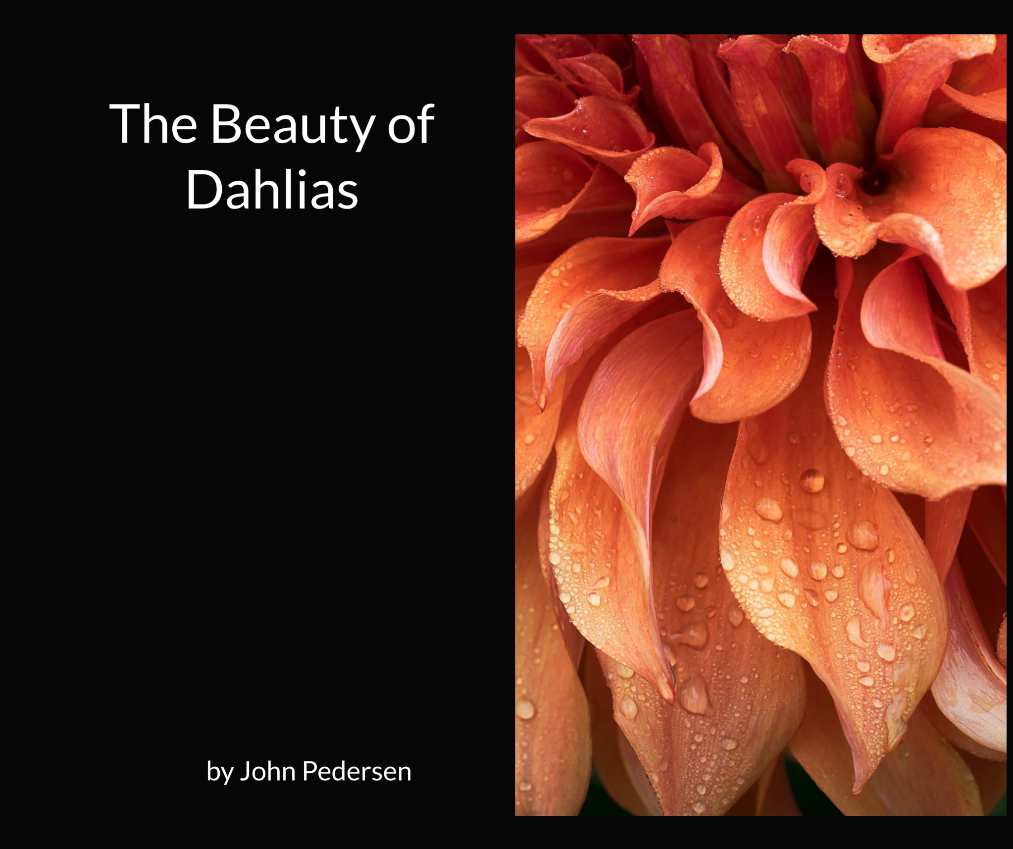 Book of dahlia flower pictures