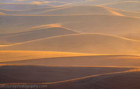 Palouse wheat fields during harvest