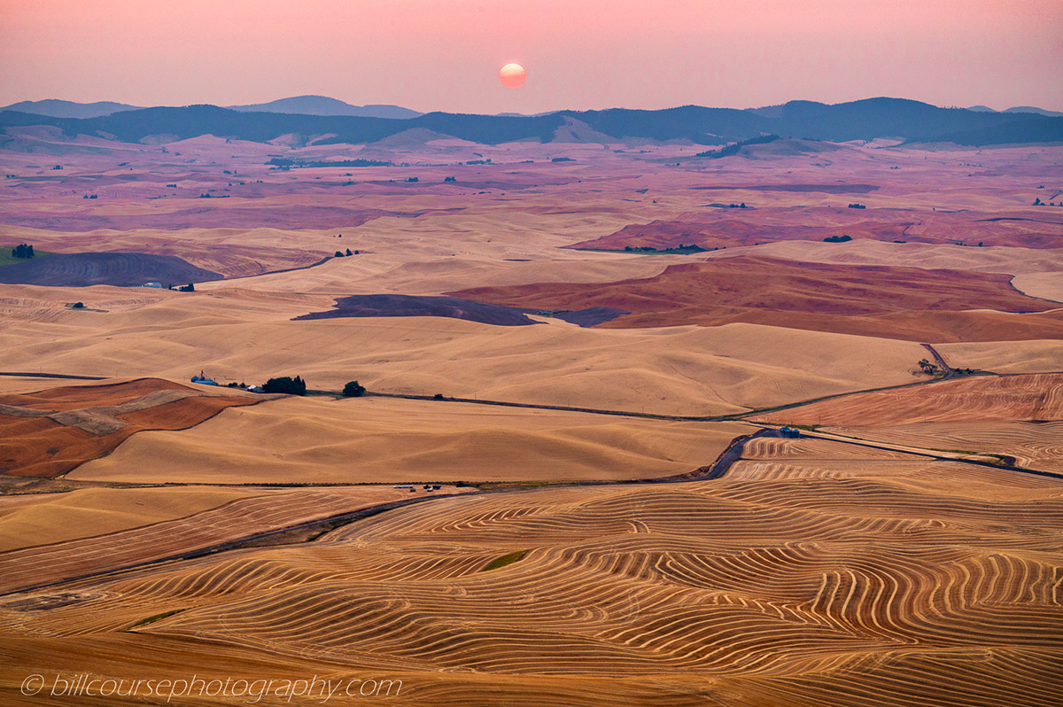 Palouse wheat fields during harvest
