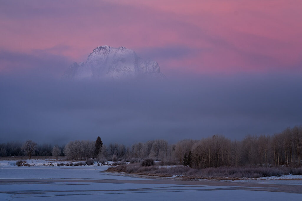 Mt Moran in winter during a pink sunrise