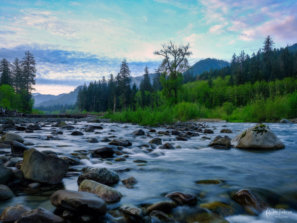 A river and green forest at sunrise in the Olympic National Park