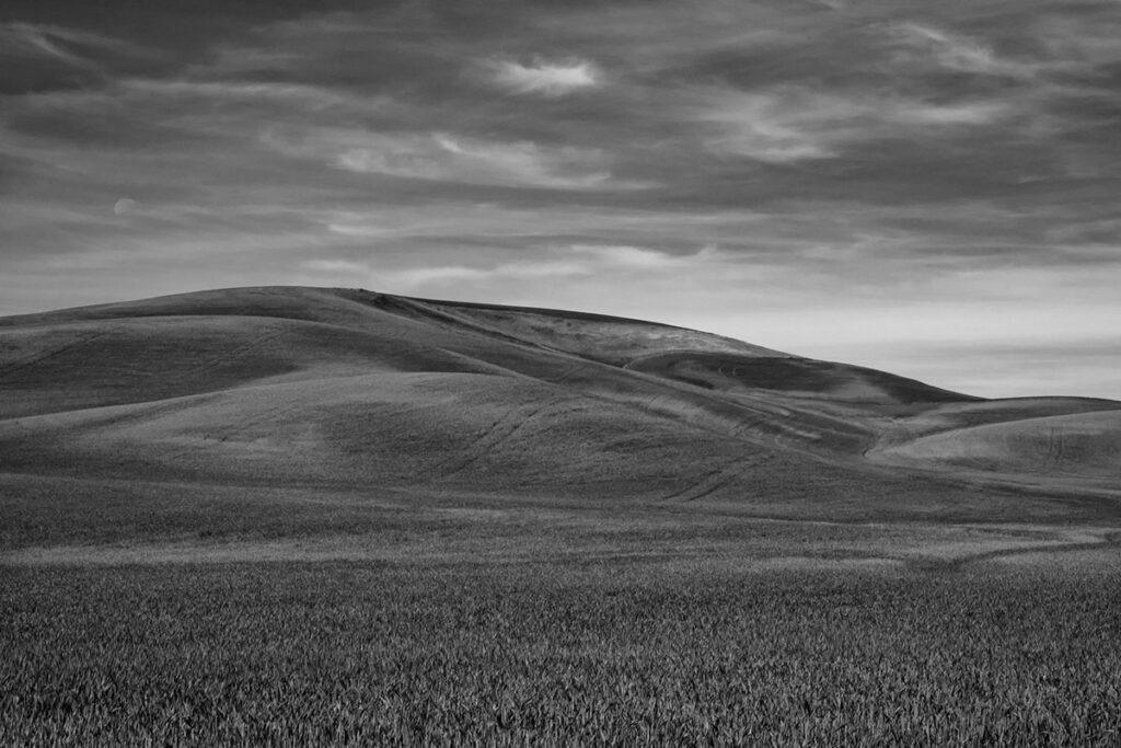 rolling wheat fields and whispy clouds in black and white