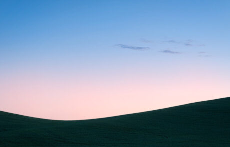 wheat fields at sunrise in the palouse