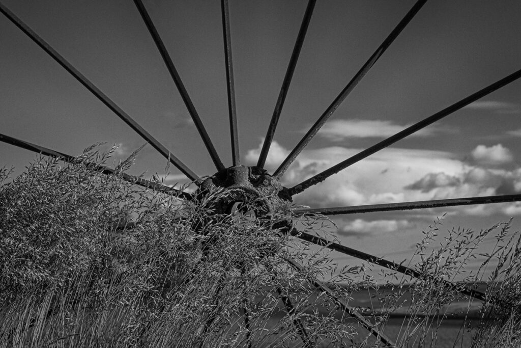 an old wheel and grass in the palouse