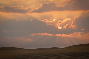Storm clouds during sunset over wheat fields in the Palouse