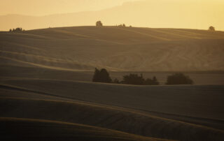 Sunrise illuminates the tops of hills in wheat fields of eastern washington