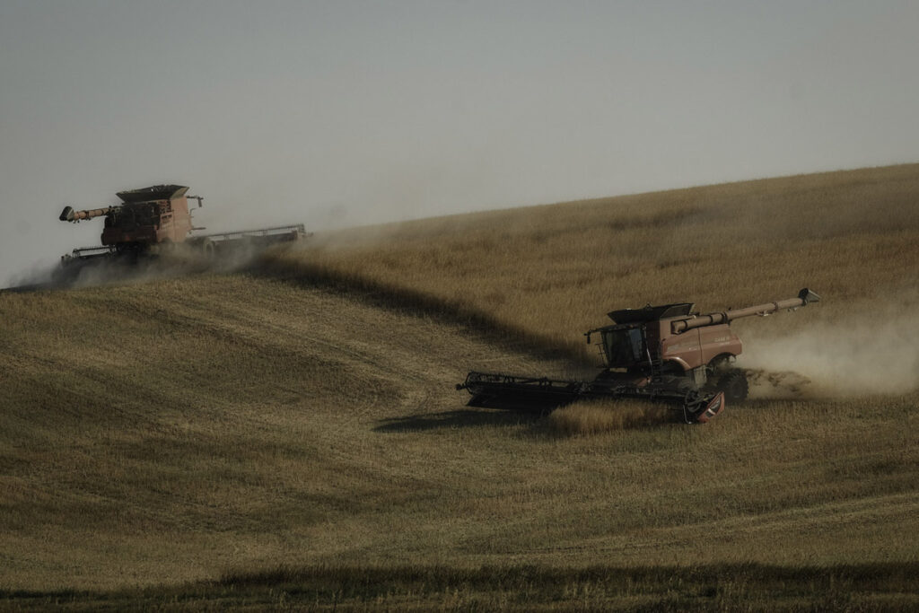 Harvesters in action in the wheat fields on eastern Washington