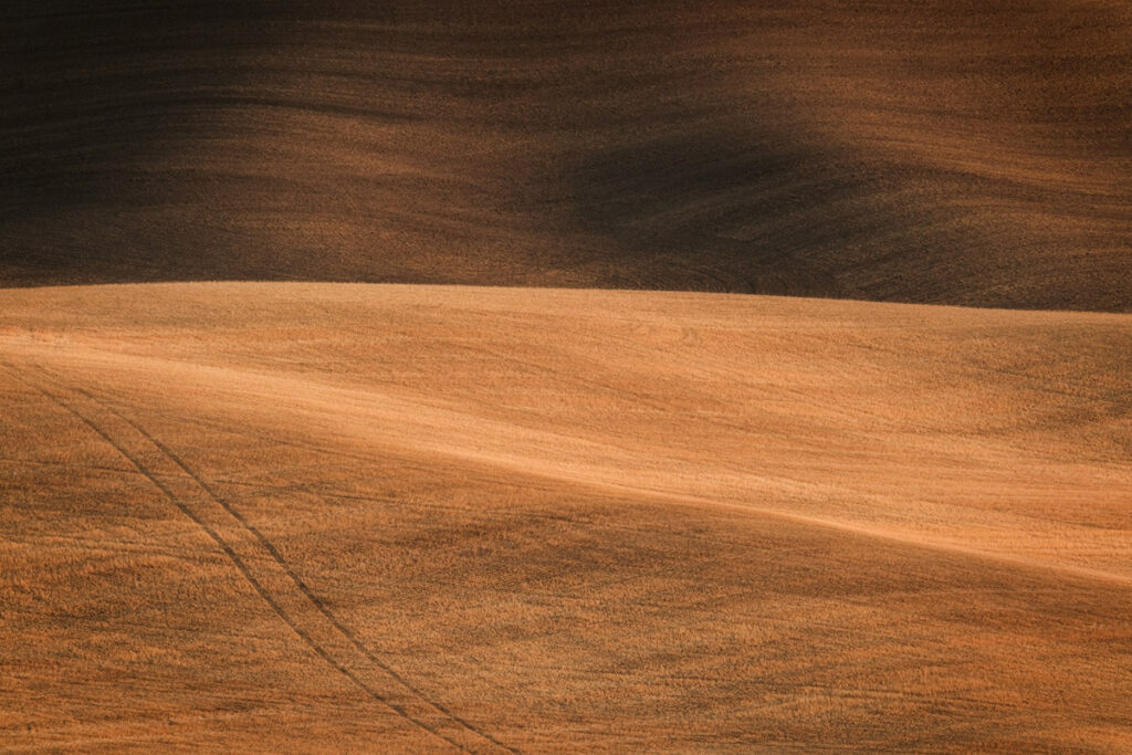 Overlapping fields of wheat and dirt create a beautiful abstract in eastern Washington