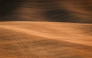Overlapping fields of wheat and dirt create a beautiful abstract in eastern Washington