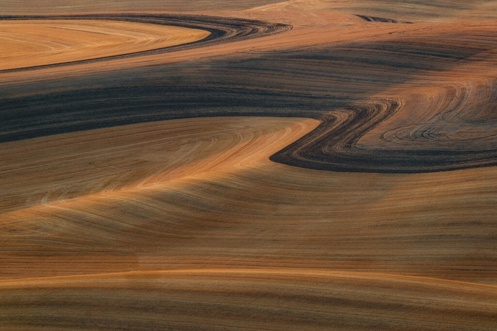 Hills and shapes of farmland in the Palouse at sunset