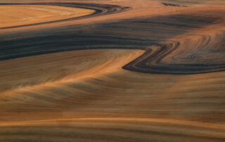 Hills and shapes of farmland in the Palouse at sunset