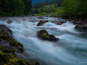 Rushing river through forest in Olympic National Park