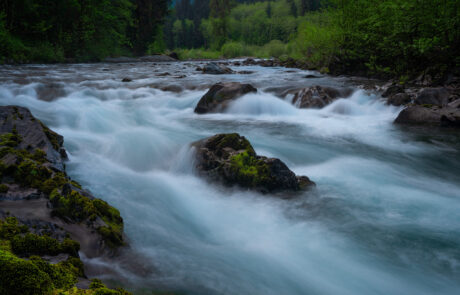 Rushing river through forest in Olympic National Park