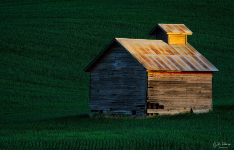 Wheat field and farm building at sunrise