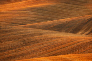 Layers of golden wheat fields in the Palouse area of Washington