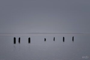 Old pilings of a pier near Astoria Oregon