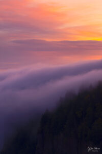 Fog covers a hillside at sunrise in Oregon