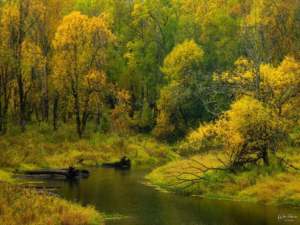 Autumn colors in a wetland in Oregon