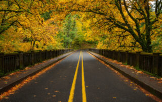 Fall leaves and trees hanging over road in Oregon