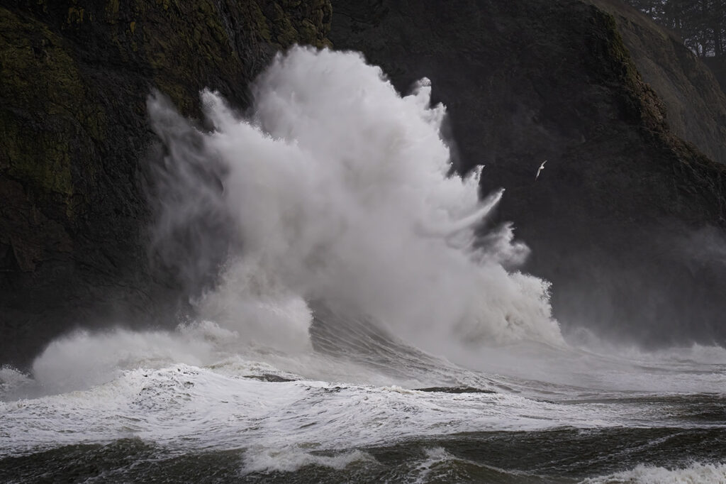 ocean wave at cape disappointment