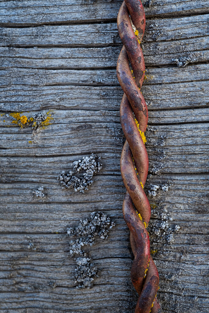 barbed wire against weathered wood and lichen