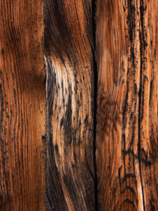 weathered wood in grand teton national park