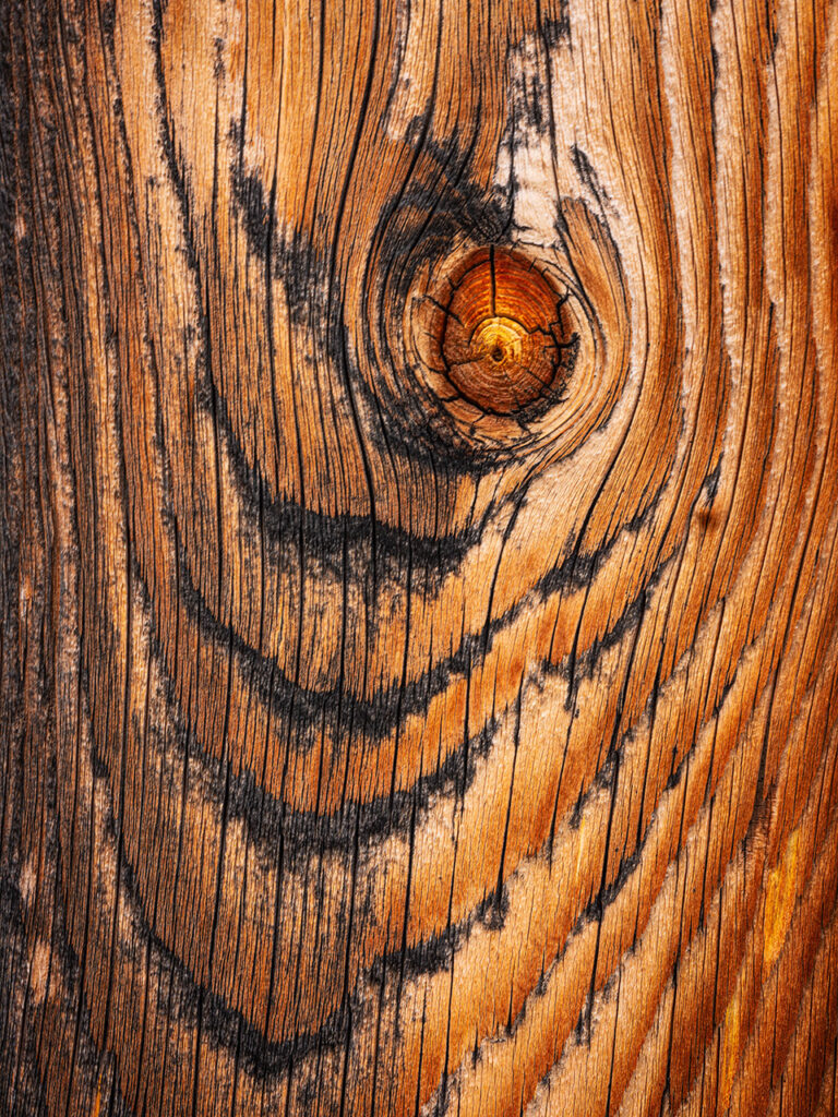 weathered wood in interesting shape