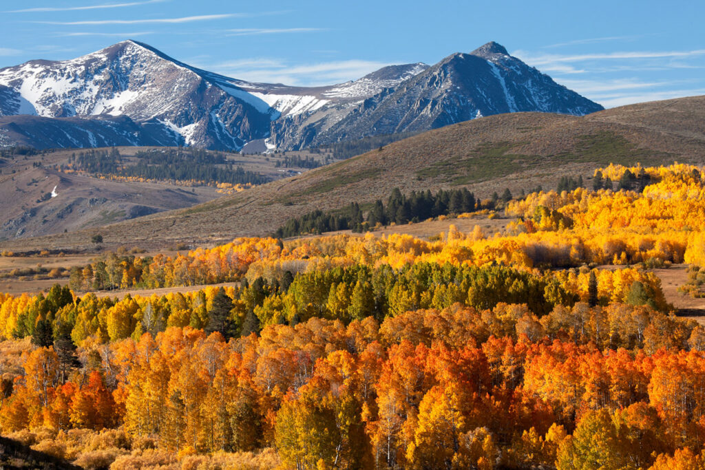 Eastern Sierras Fall Color Photo Workshop - John Pedersen Photography