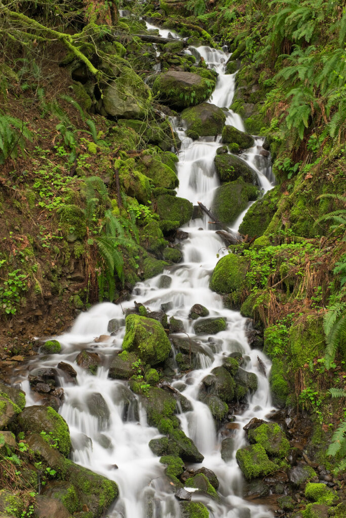 A shot of a creek in the Columbia River Gorge