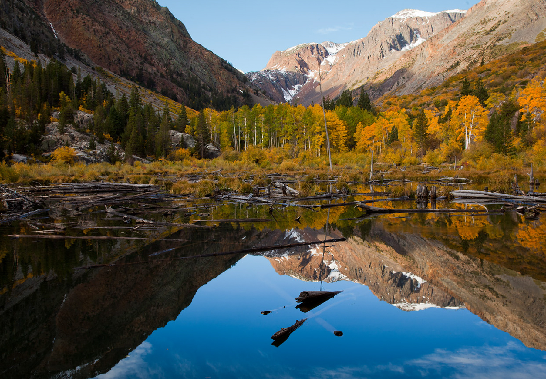 Fall color in the eastern sierras at Lundy Canyon
