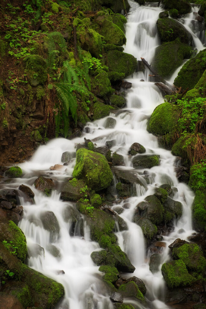 A shot of a creek in the Columbia River Gorge